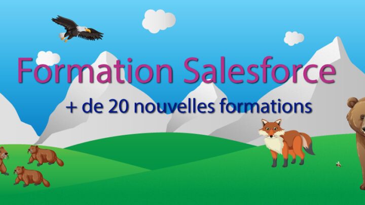 Catalogue de Formation Salesforce