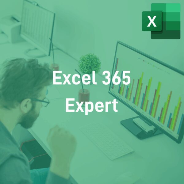 Module e-learning Excel 365 expert