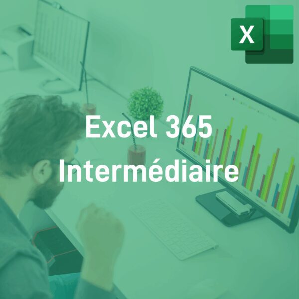 Module e-learning Excel 365 Intermédiaire