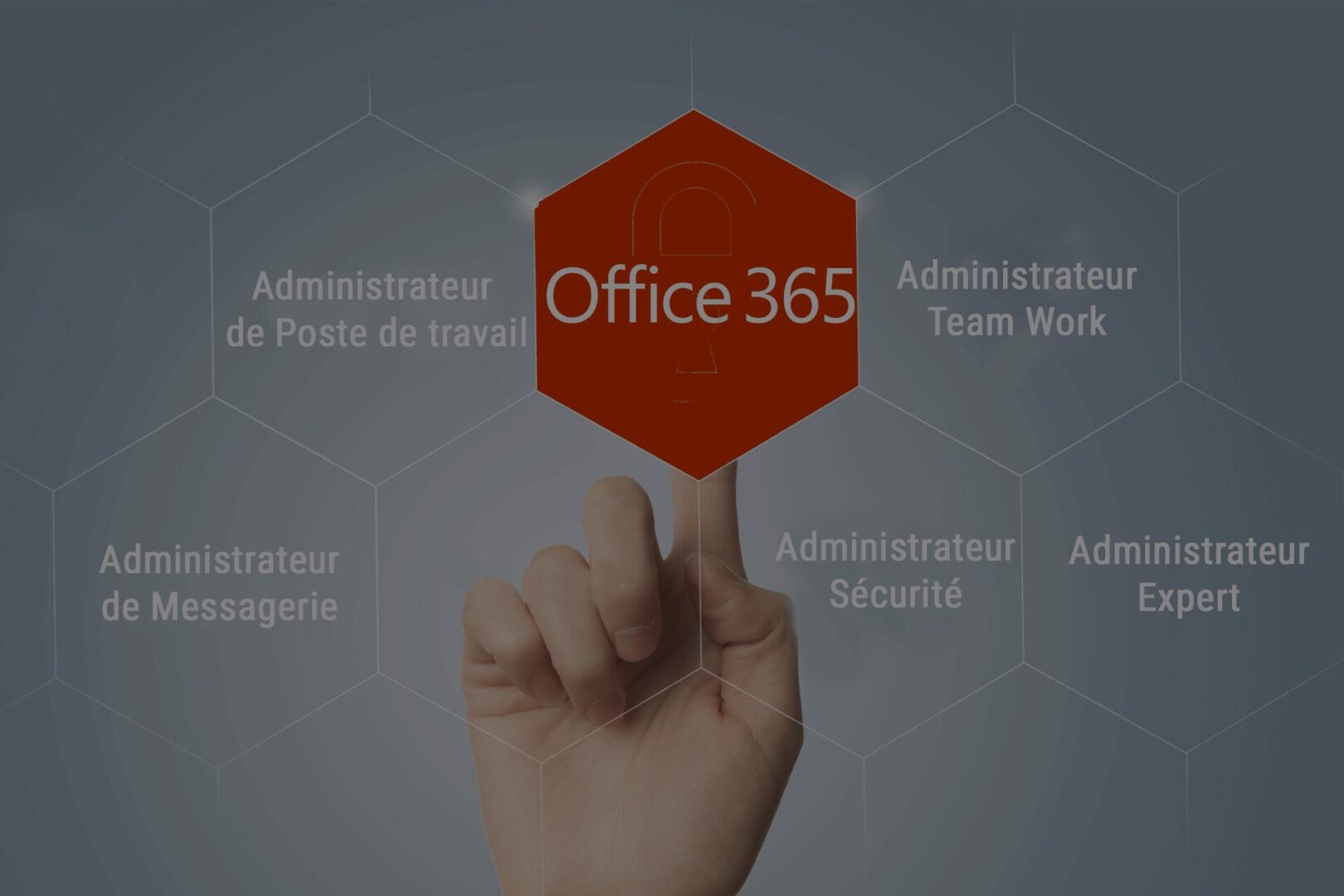 Formations et certifications Office 365